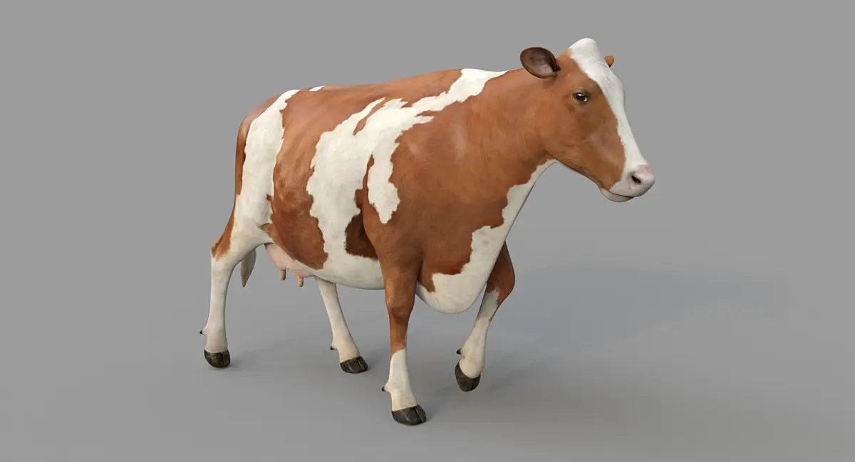 Cow PRO Ayrshire 3D model