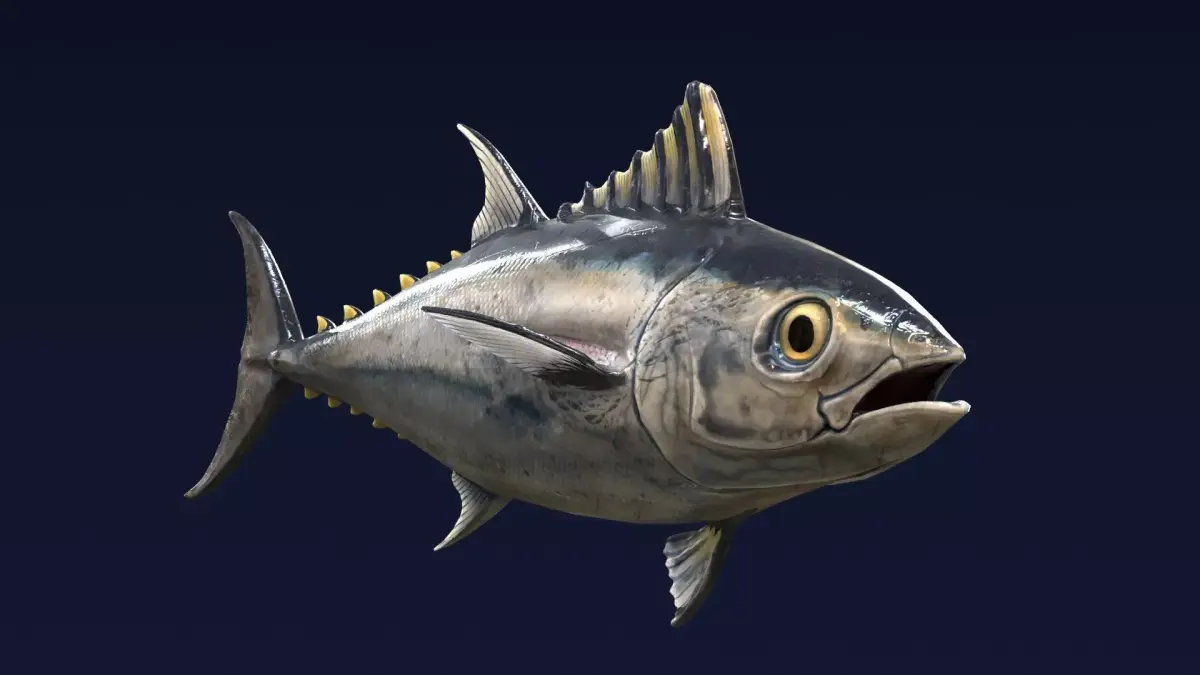 Bluefin Tuna Fish low poly Low-poly 3D model