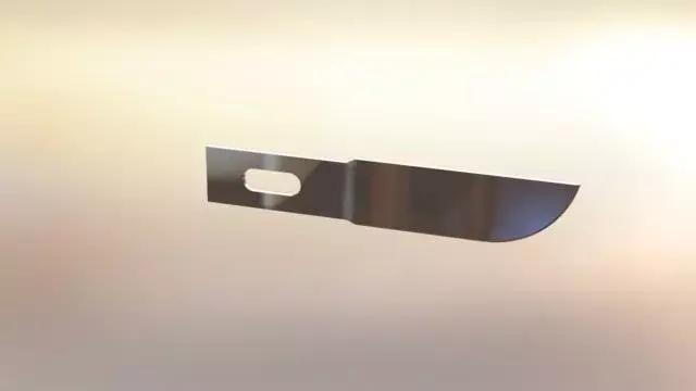 Bull nose blade Free 3D model