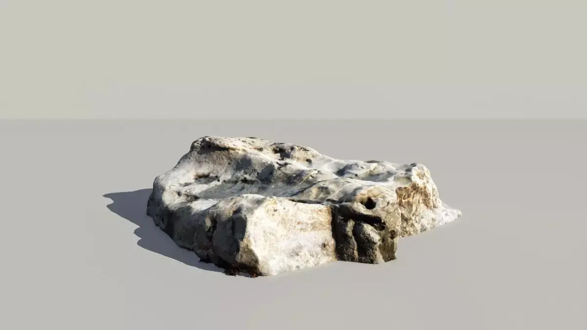 Fossile Whale Bone 3d Scan 3D model