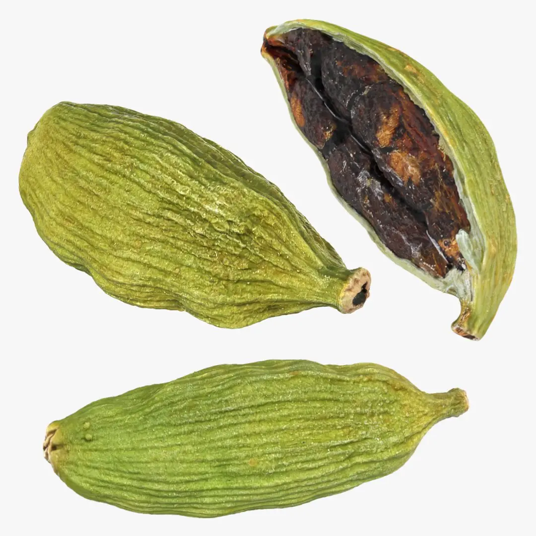 Cardamom Collection 3D model