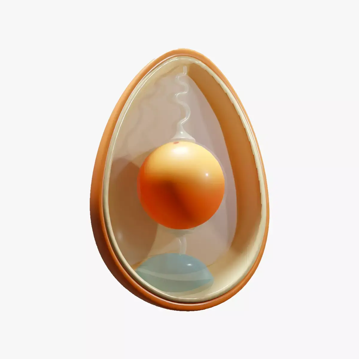 Anatomy Of Bird Egg Low-poly 3D model