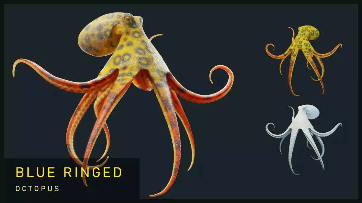 Animated Blue-Ringed Octopus Low-poly 3D model
