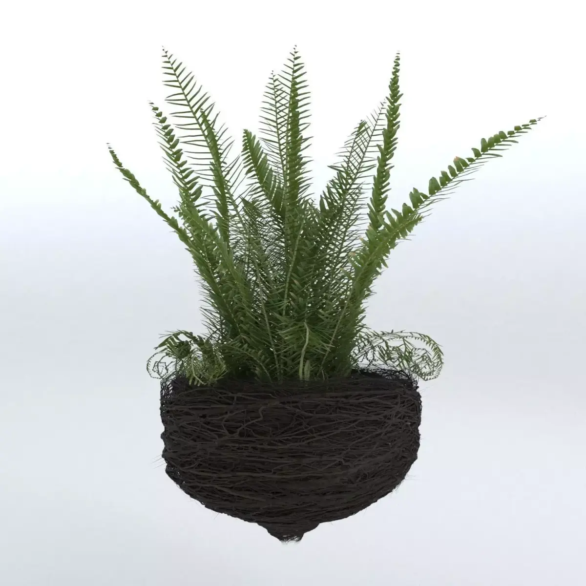 Decorative Plant Pot 3D model