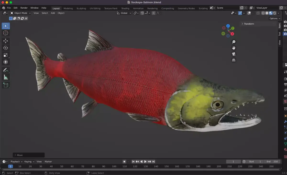 Sockeye Salmon Low-poly 3D model