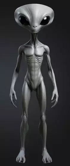 Gray alien 3D model get