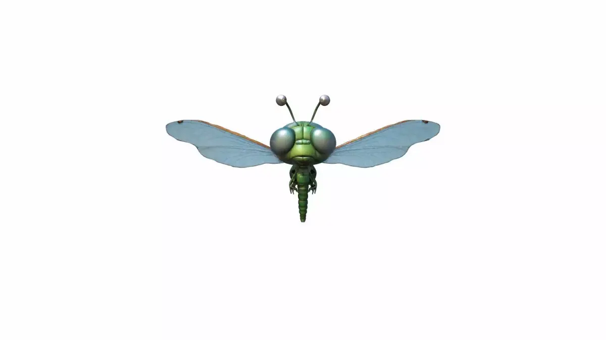 3d Model Dragonflies Are Fast-moving Insects 3D model purchase