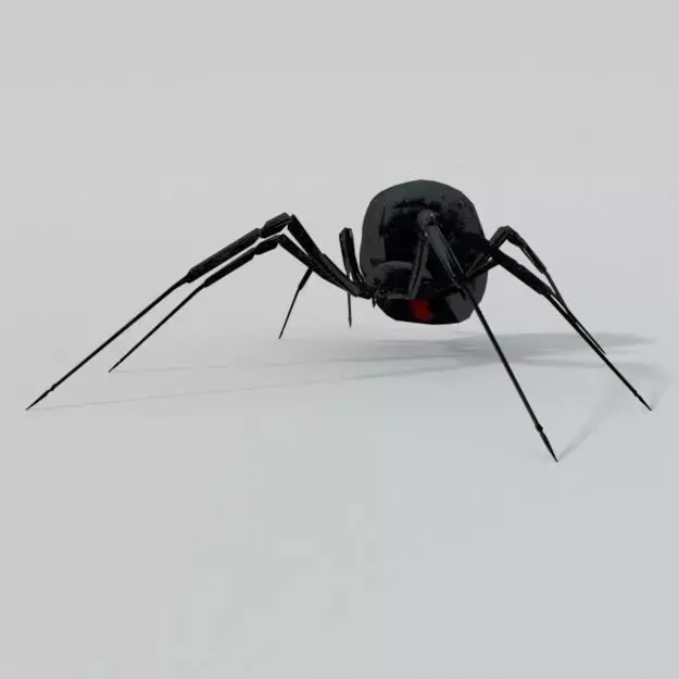 Black Widow Low-poly 3D model purchase