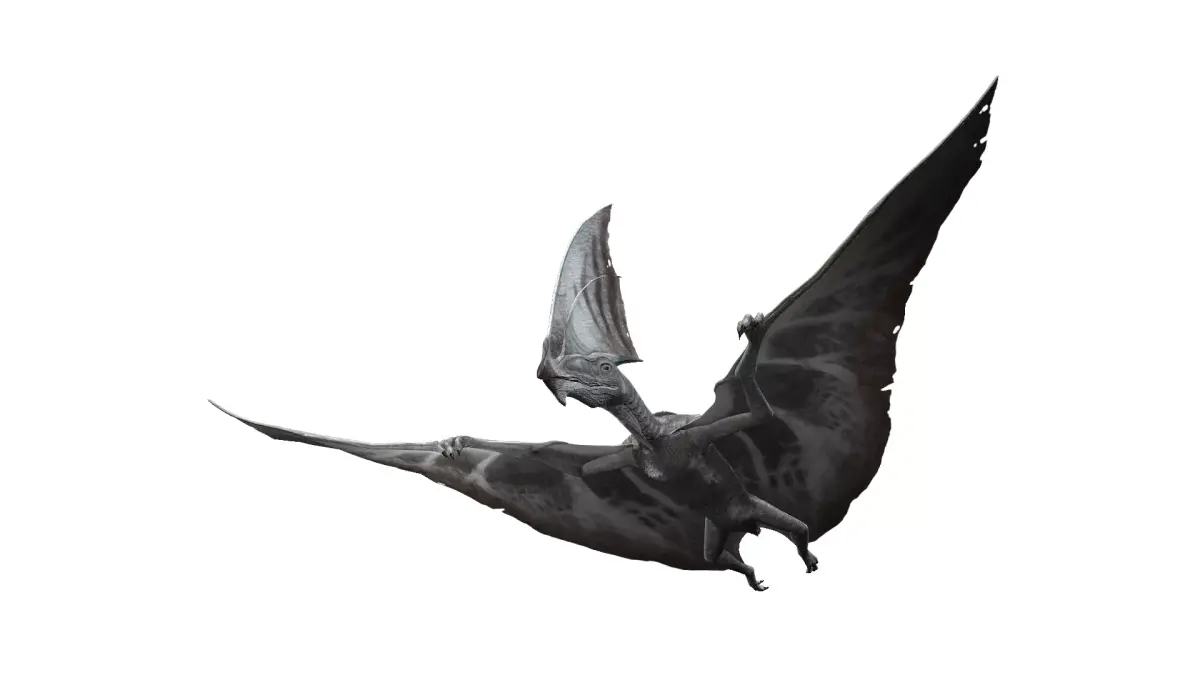 Dinos Flying 3D model