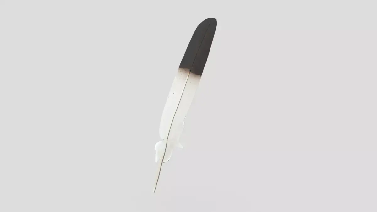 Feather 2 Low-poly 3D model