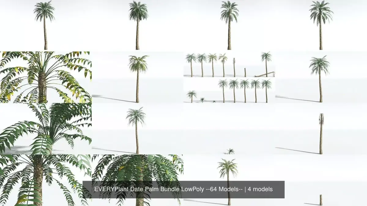 EVERYPlant Date Palm Bundle LowPoly --64 Models-- 3D Model Collection