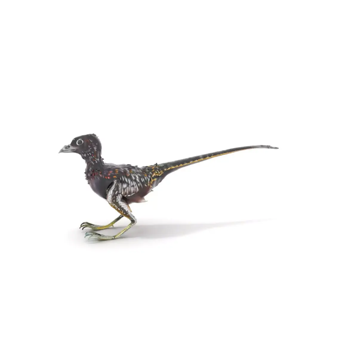 Feathered Dinosaur model pack Low-poly 3D model