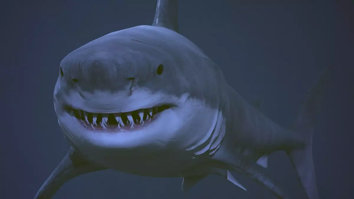 Great white shark  AAA Low-poly 3D model