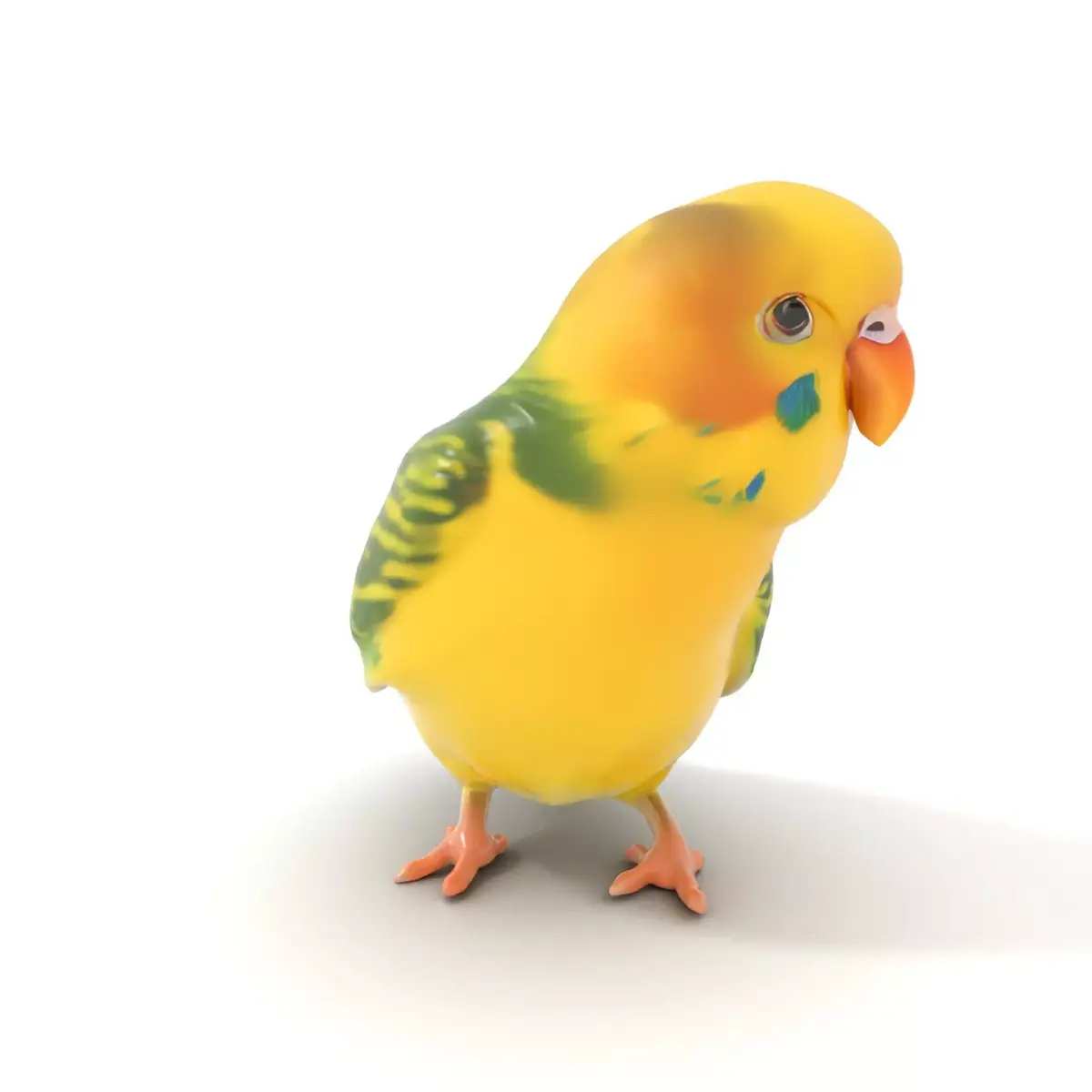Yellow Parakeet model pack Low-poly 3D model