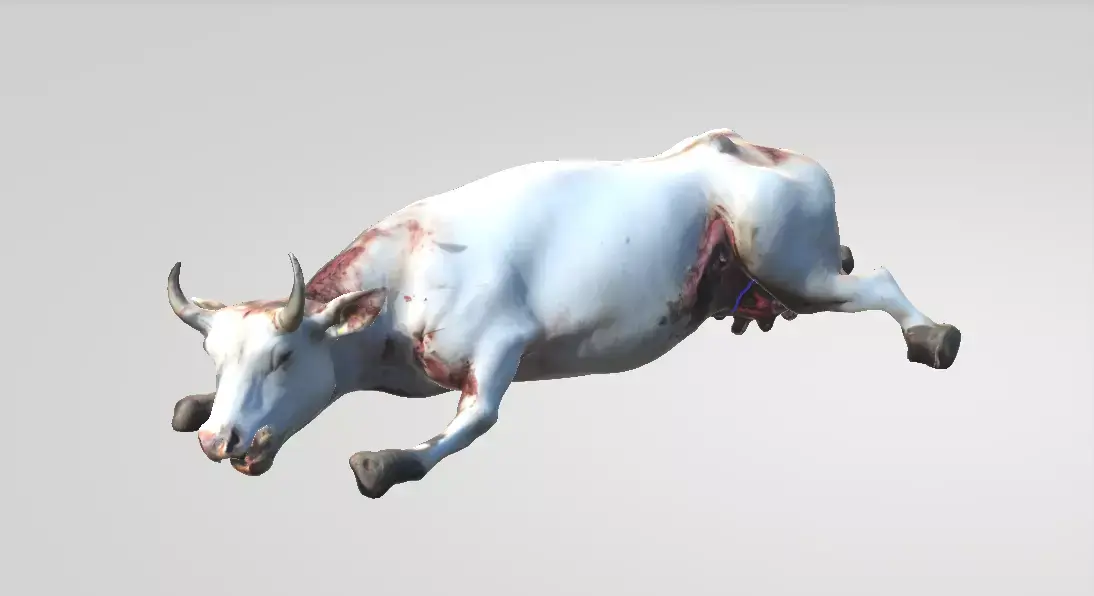 Cattle Mutilation 3D model