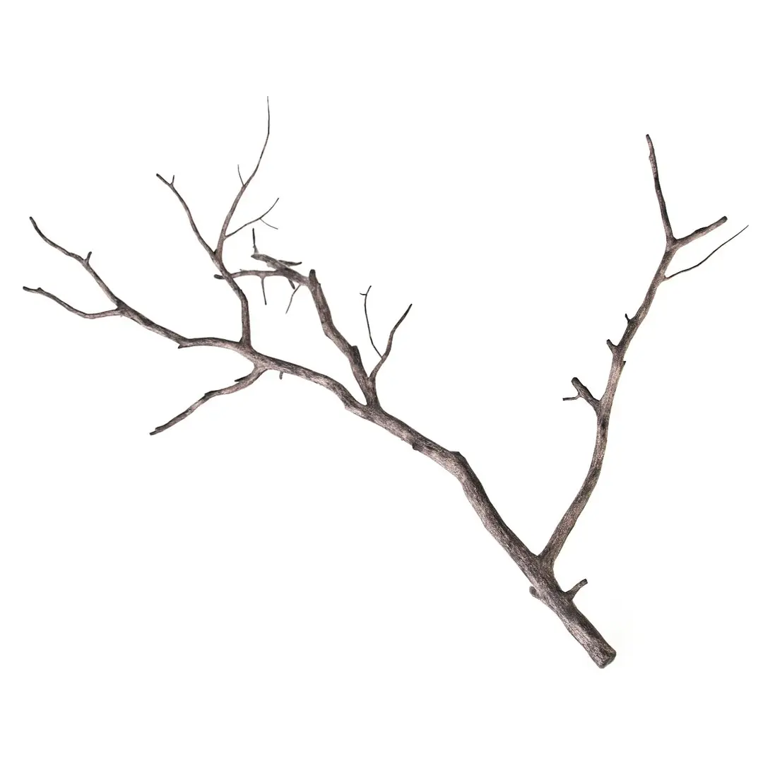 Branch 3D model