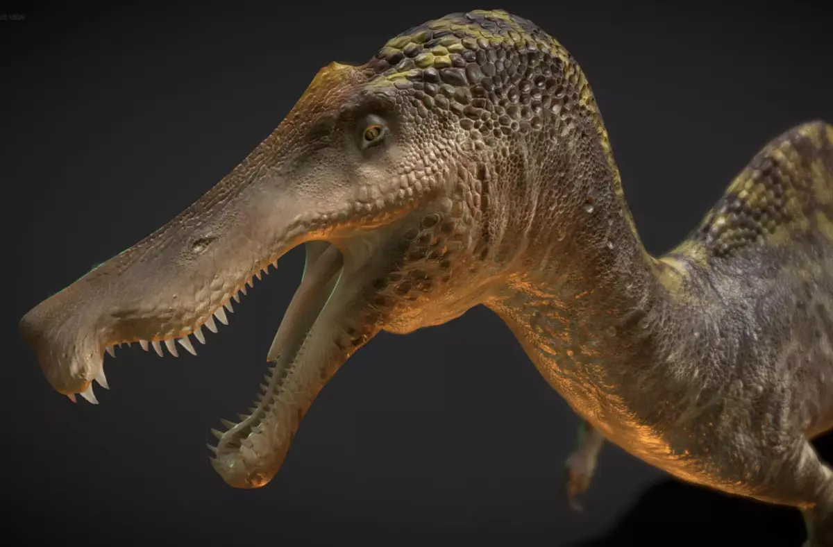 Irritator challengeri Low-poly 3D model