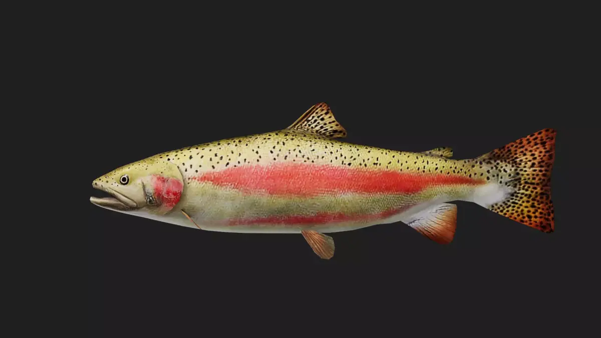 Trout Low-poly 3D model buy