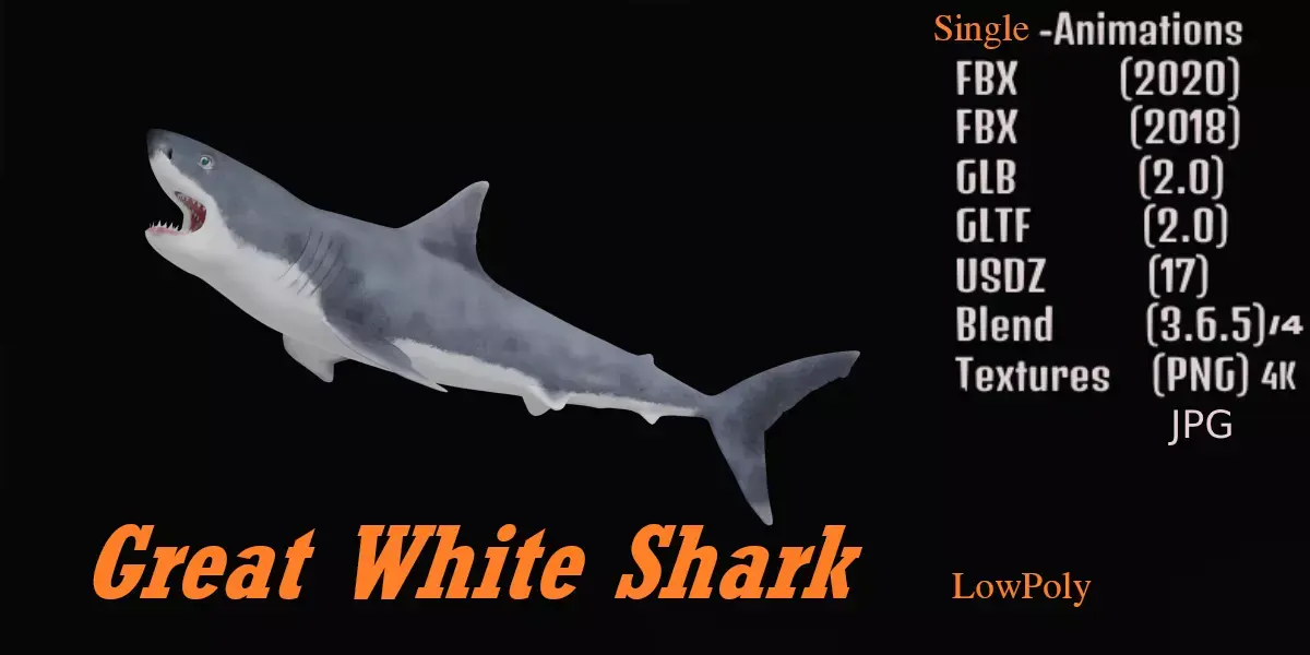 Great White Shark Low-poly 3D model 12
