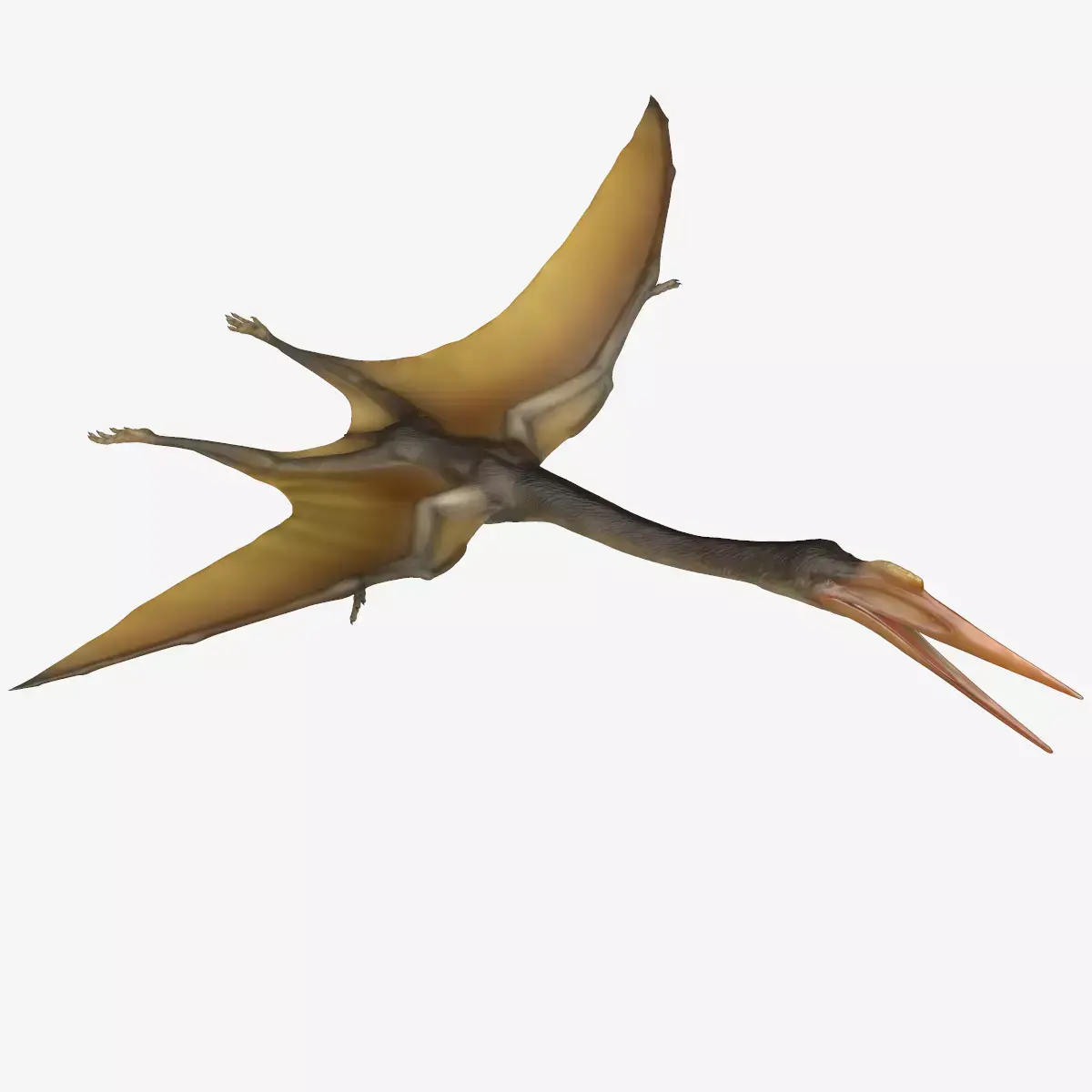 Quetzalcoatlus dinosaur Low-poly 3D model