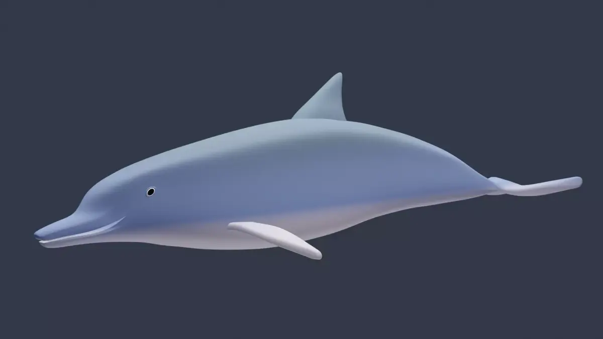 Cute Dolphin Low-poly 3D model