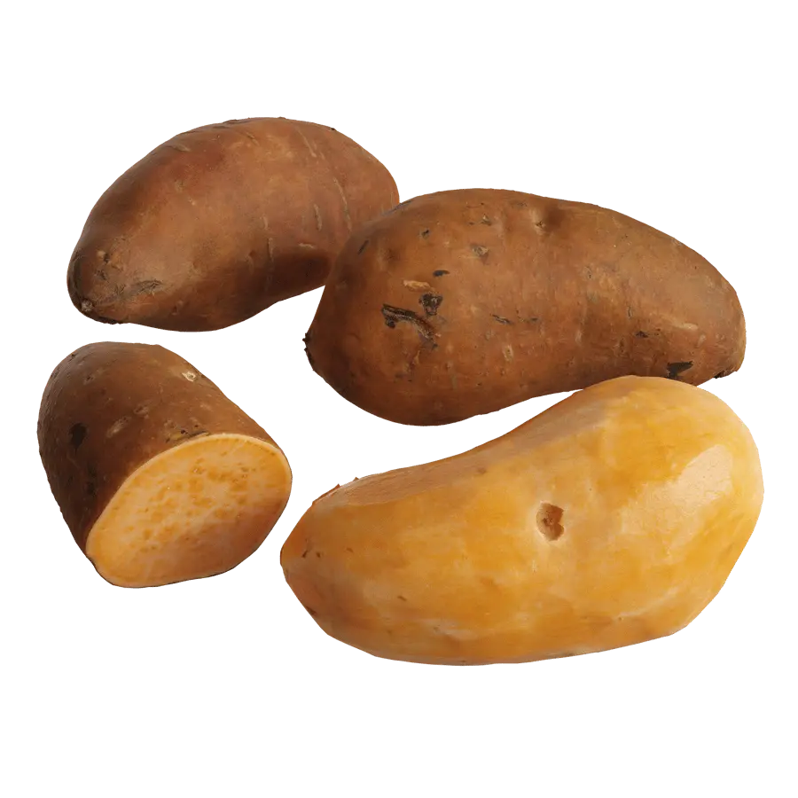  Sweet Potato Models 