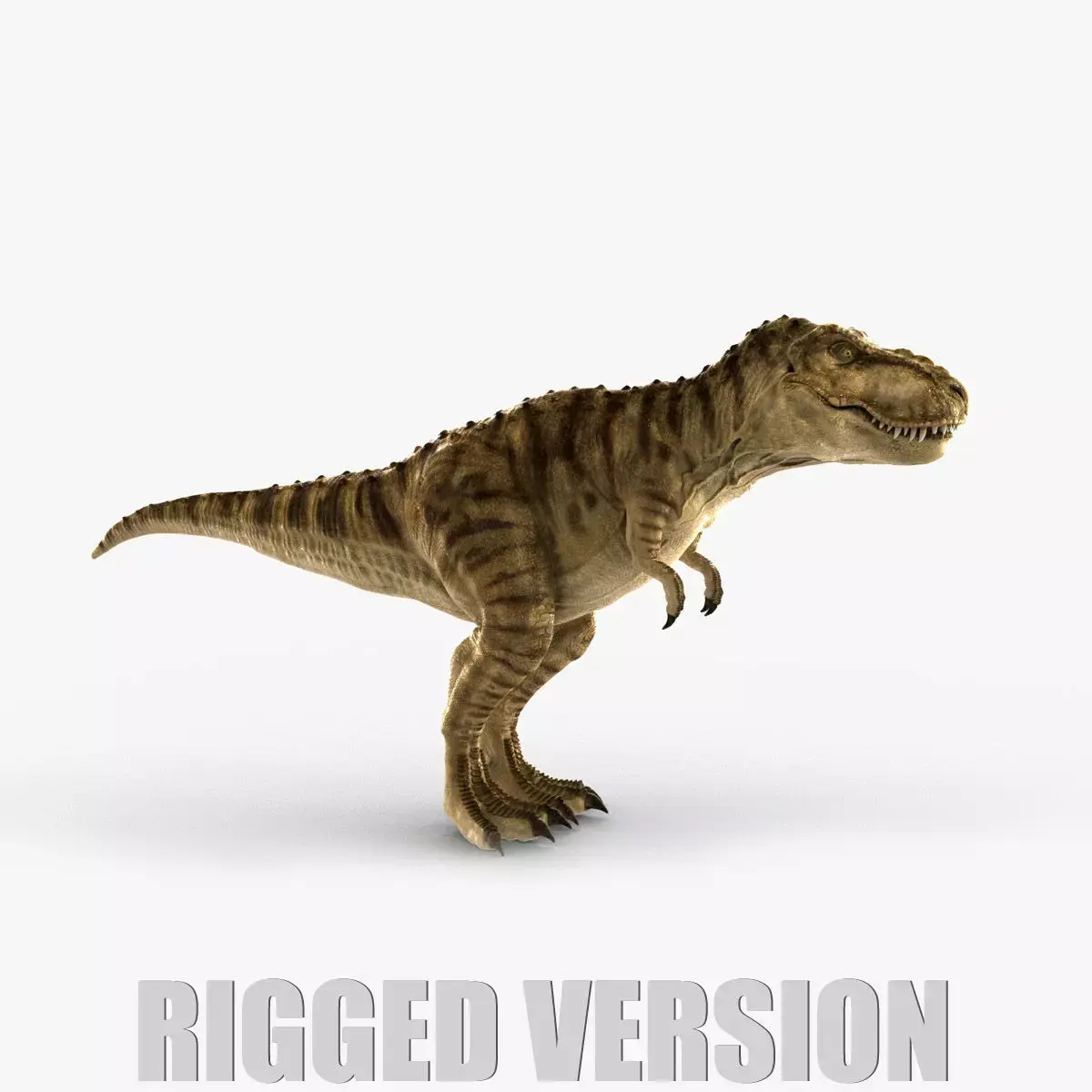 Tyrannosaurus Rex RIGGED 3D model purchase