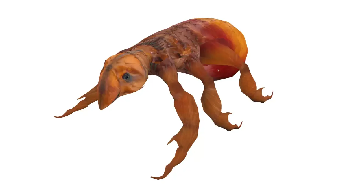 Fleas Insect Tick Louse 3D model Low-poly 3D model