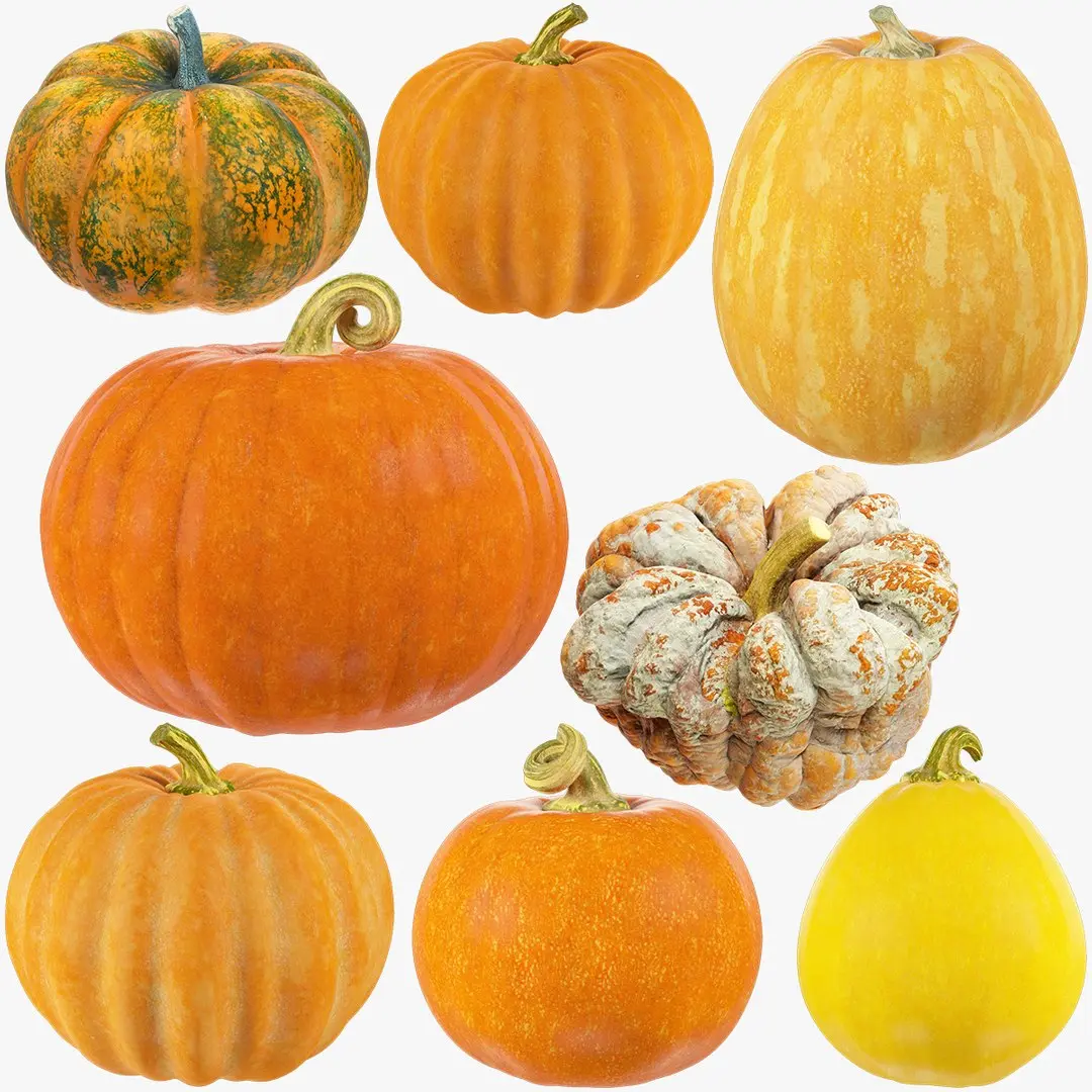 Pumpkins Collection V8 3D model