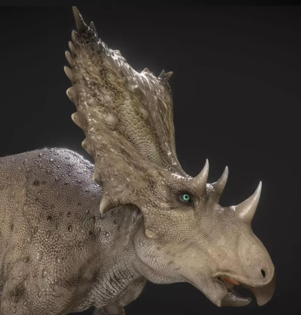 Chasmosaurus Low-poly 3D model