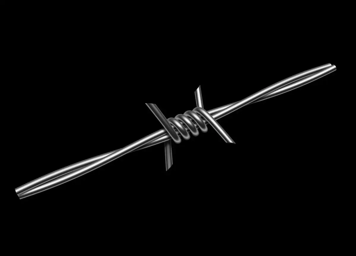 Barbed Wire 3D model buy
