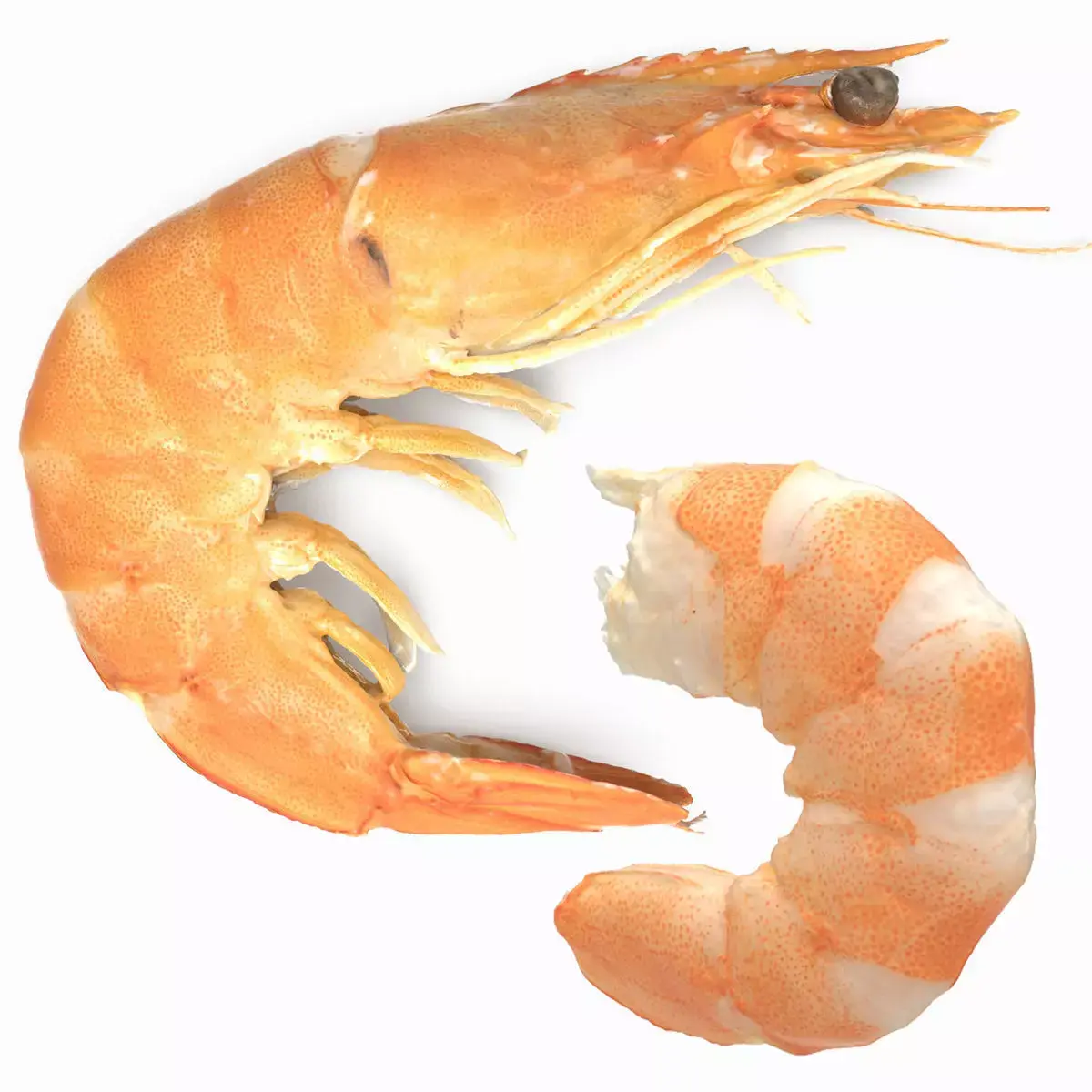 Boiled Shrimp Low-poly 3D model