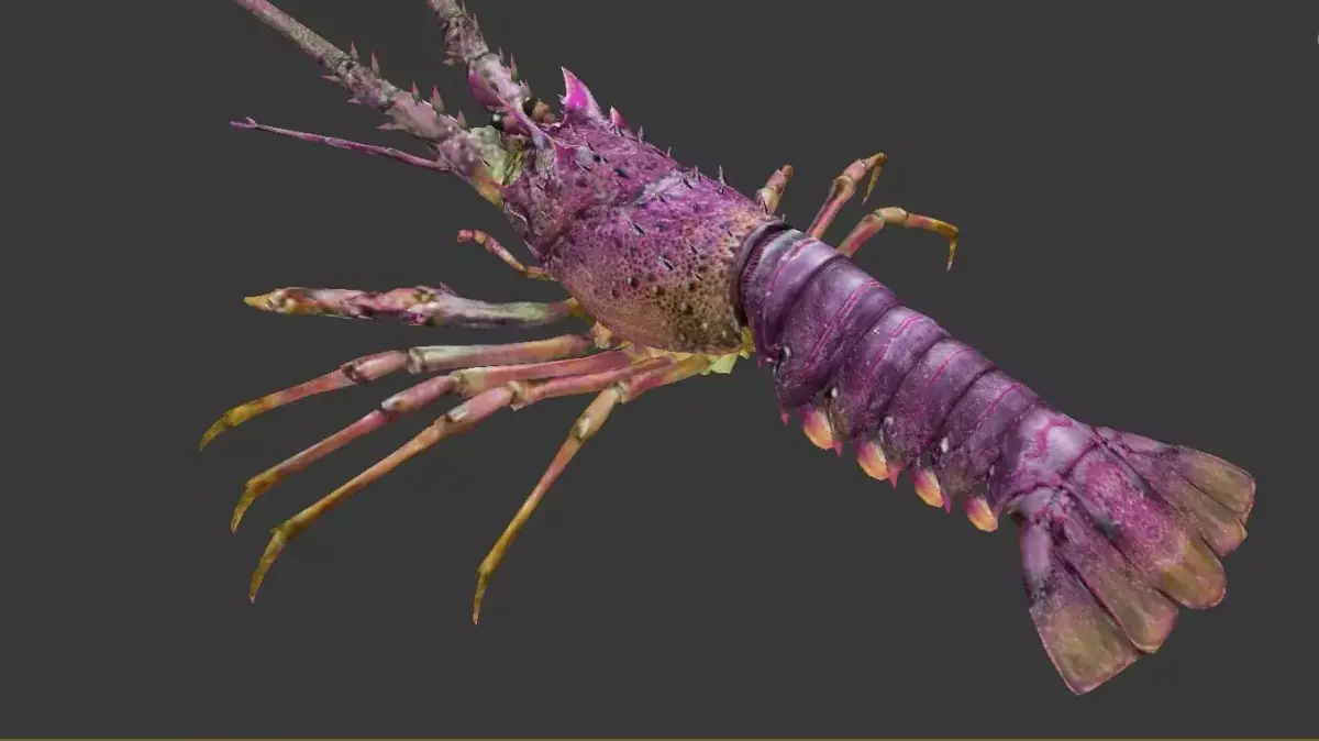 lobster Australian lobster Low-poly 3D model