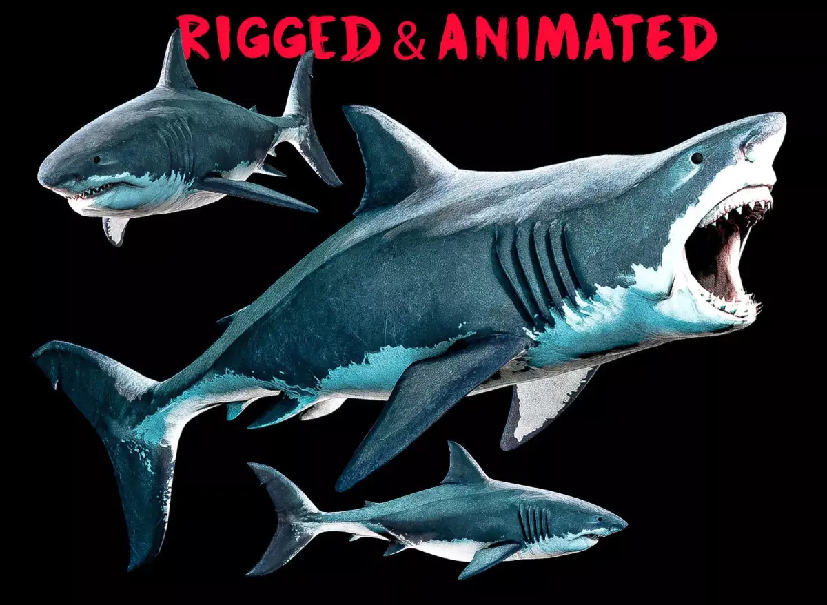 Great White Shark Low-poly 3D model shop