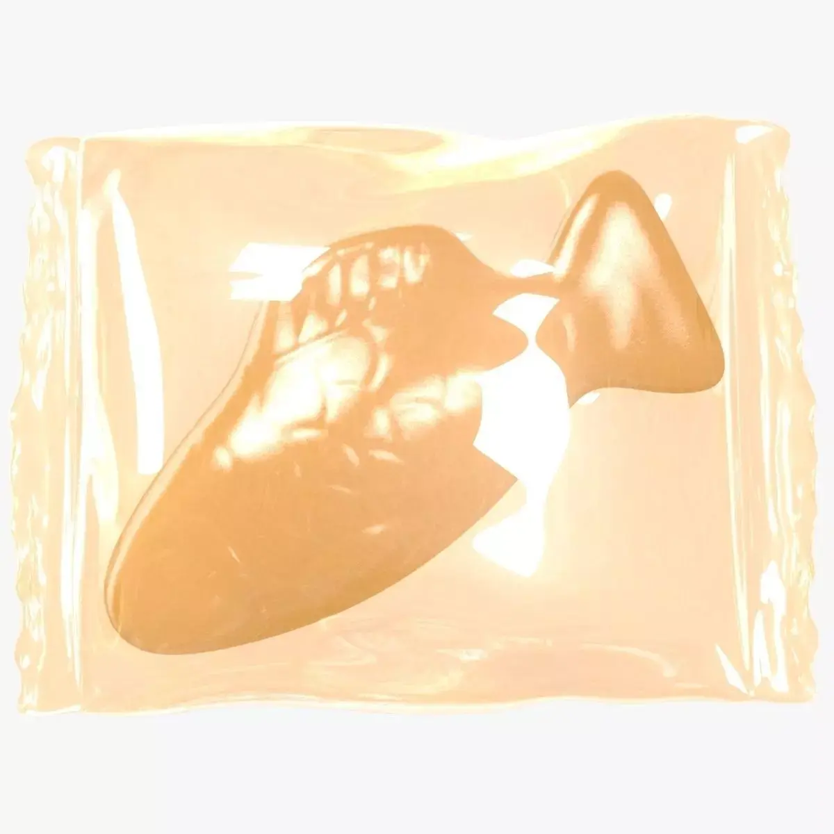 Wrapped Orange Fish 3D 3D model