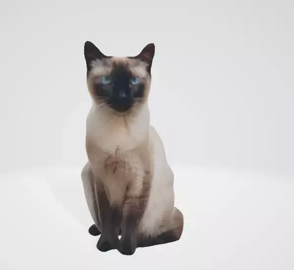 Realistic Siamese Cat 3D Model 3D model