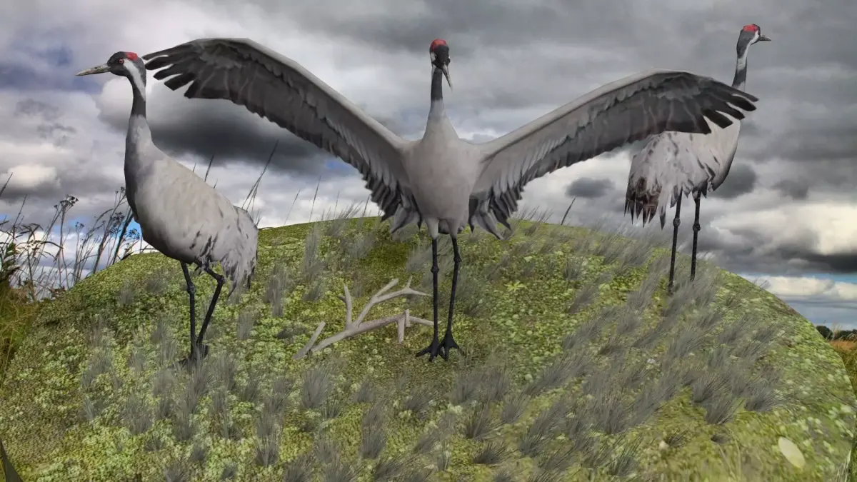 Crane package Low-poly 3D model