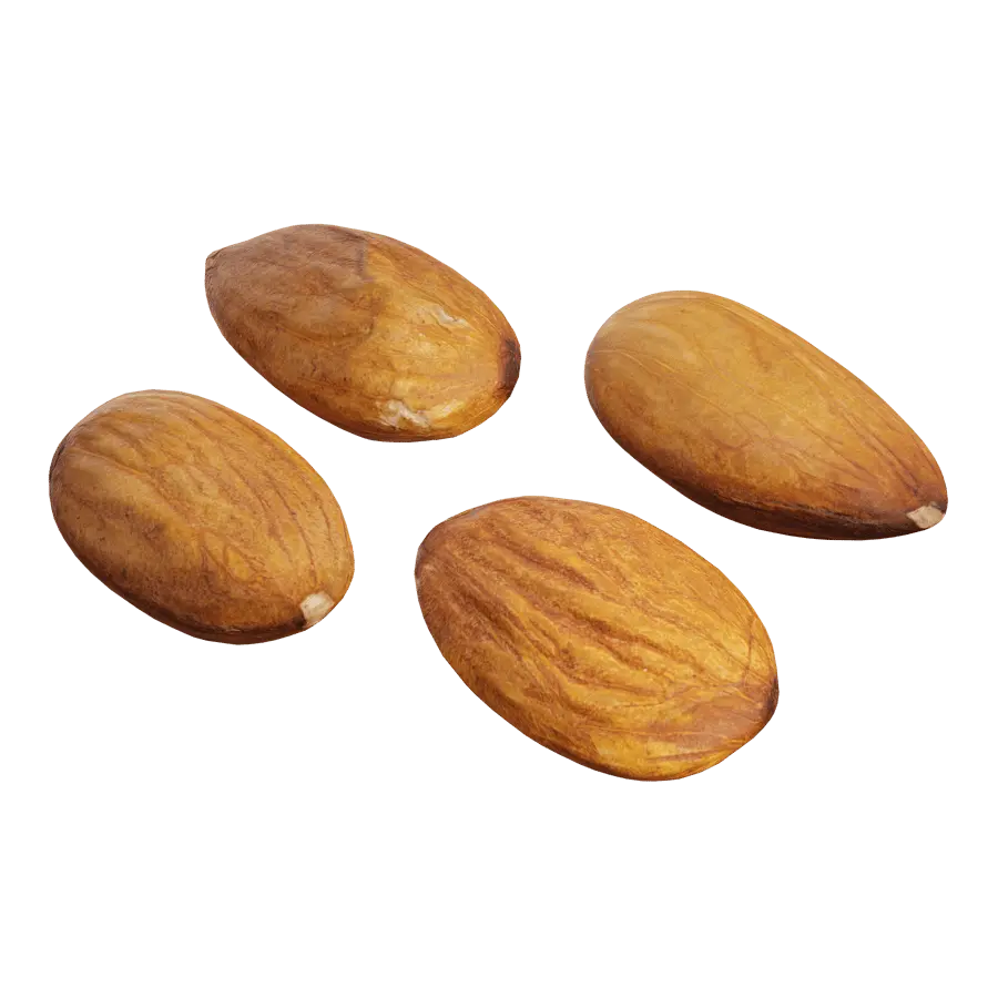  Raw Almonds Model 