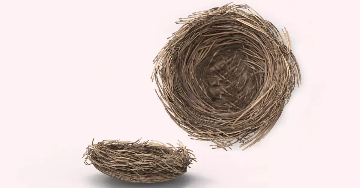 Bird Nest 3D model Low-poly 3D model