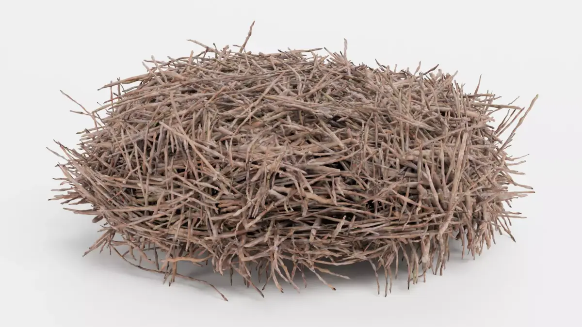 -Stork Nest- 3D model
