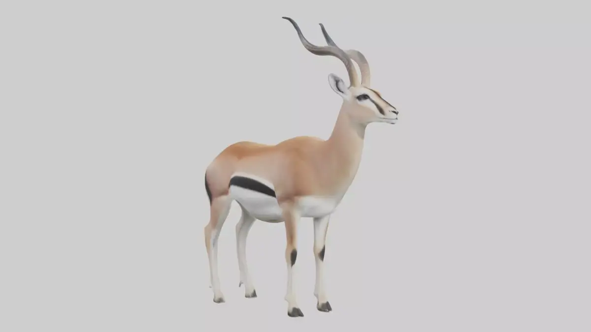 Spakes gazelle Low-poly 3D model