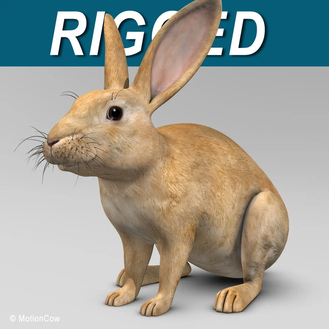 Rabbit Brown 3D model