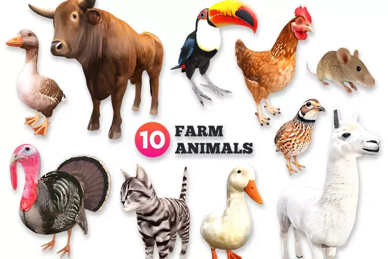 Farm Animals 3D Model Bundle - Part 2 Low-poly 3D model purchase