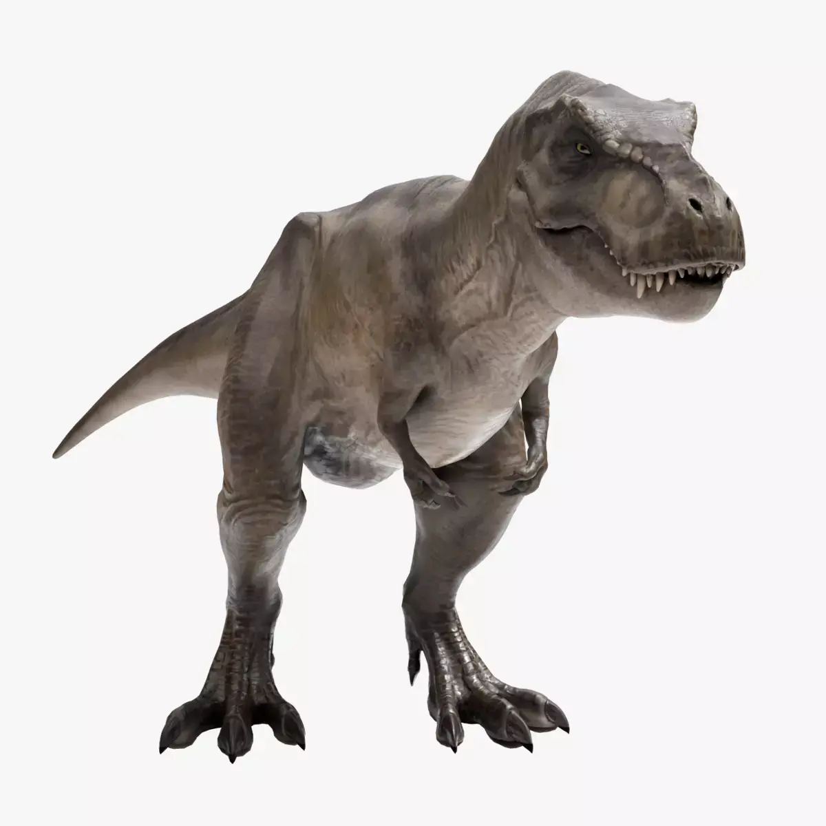 Tyrannosaurus Rex Low-poly 3D model 9
