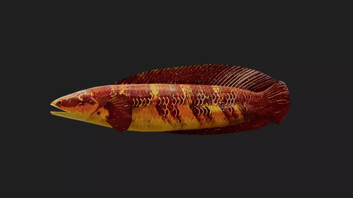 Snakehead Low-poly 3D model order