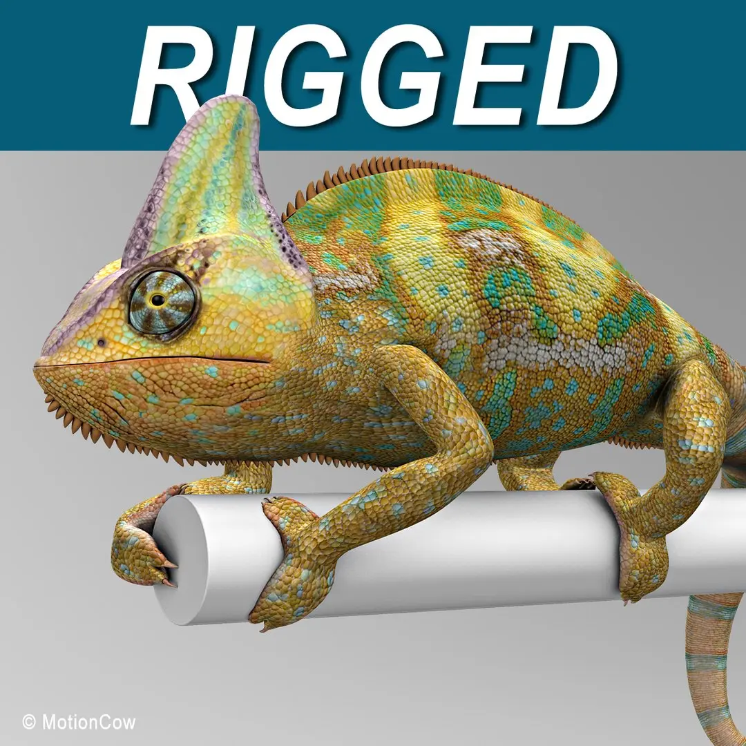 Chameleon Color 3D model