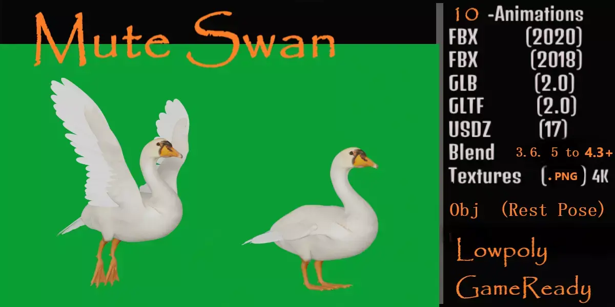 Mute Swan Bird Low-poly 3D model