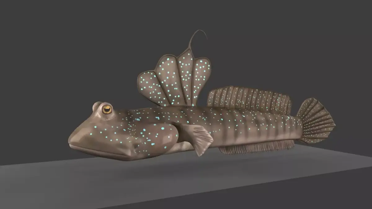Mud Skipper 3D model