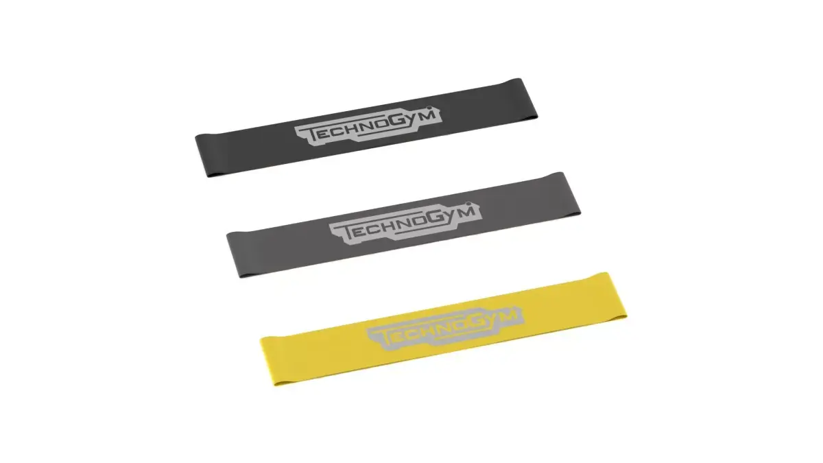 Technogym Band Loop 3D model