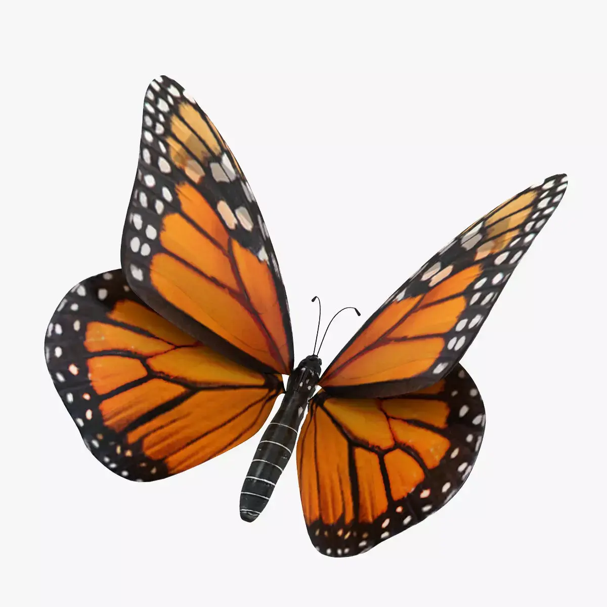 Flying Monarch Butterfly 3D model